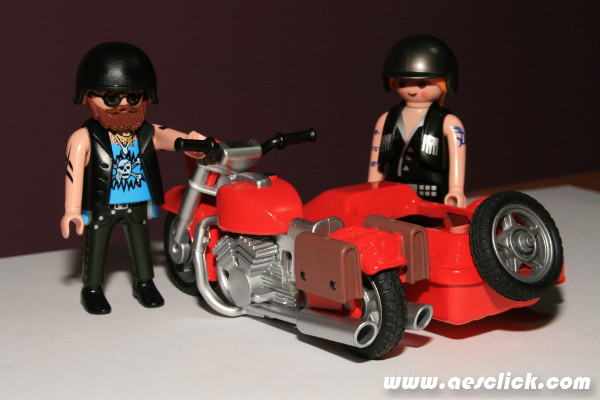 14-Sidecar Falconhunter